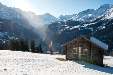 magical Lauterbrunnen Valley seen from Wengen with barn on a snow covered field