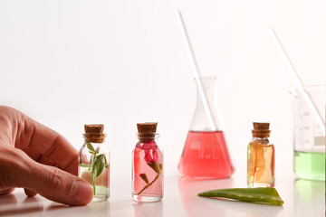 Hands preparing bottles with essence of plants in laboratory