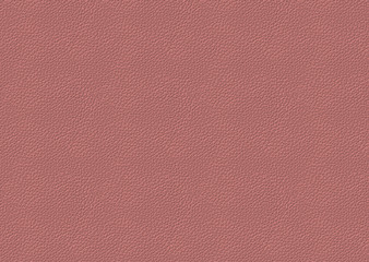leather texture