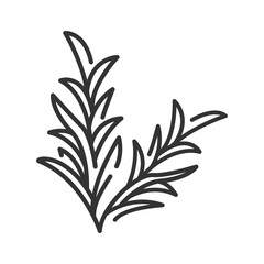 Rosemary branch black line icon. Herbs and spices. Cooking ingredient. Pictogram for web page.