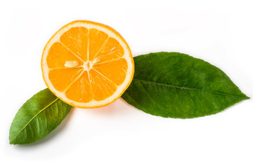 Cut in half lemon with leaves on a white background
