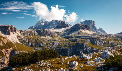 Awesome alpine highlands in sunny day. Wonderful Mountauns Scenery. Scenic Image of Majestic Dolomites Alps. Great View of Impressive Rocky Mountain peaks under Bright Sunlight. Tre cime di Lavaredo
