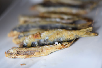 Sardine. Fried fish in a white plate. Spanish tapa.