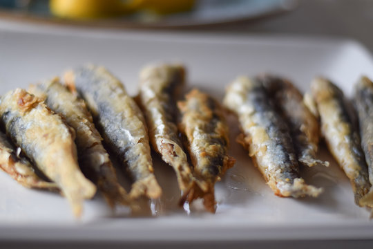 Sardine. Fried fish in a white plate. Spanish tapa.