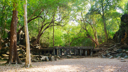 Beng Mealea ancient temple ruines in the middle of jungle forest in Sieam Ream, Cambodia