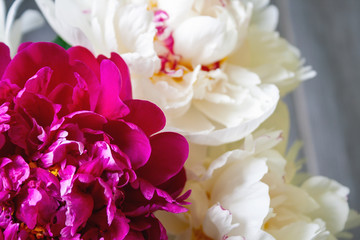 Closeup view of a bouquet of lush white and pink peonies. Beautiful delicate flowers as a gift for the holiday. Top view. Selective focus