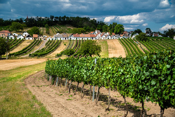 Kellergasse Mistelbach