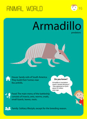 armadillo. educational card for preschoolers, schoolchildren. Zoology for children. Interesting facts, habitat, nutrition, lifestyle