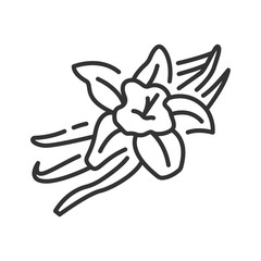 Vanilla pods and flower with caption black line icon. Spices, seasoning. Cooking ingredient. Pictogram for web page, mobile app, promo.