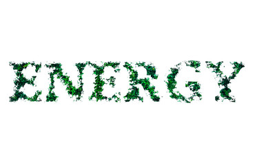 Energy word from leaves isolated on white background. Eco-friendly concept.