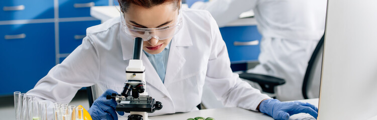 panoramic shot of molecular nutritionist using microscope and sitting at table