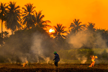 Fototapeta na wymiar Farmers burn rice fields in rice causing PM2.5 dust. The farmers burning rice stubble in the field, causing smoke. Kanchanaburi, Thailand. Dec 30, 2019.