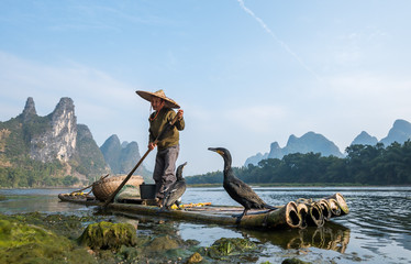 A fisherman and his cormorants on a bamboo raft in Guilin, China - obrazy, fototapety, plakaty