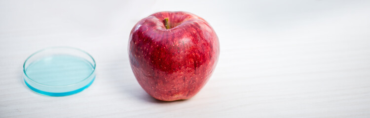 panoramic shot of petri dish and apple on table in lab