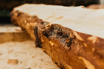 uncut pine log. Building wood materials.