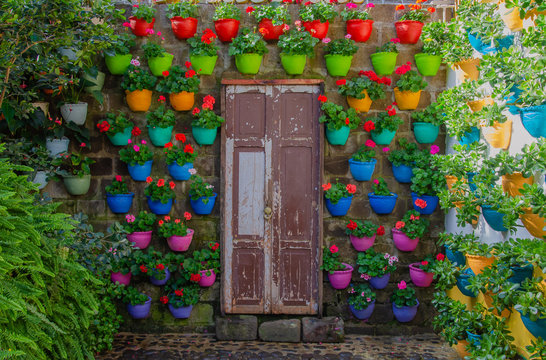 Puerta en madera en Jard&iacute;n, Antioquia, rodeada de materas multicolores
