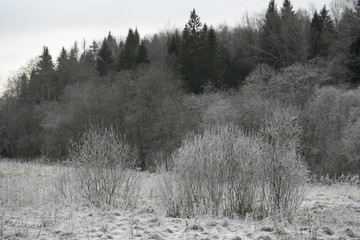 Snow landscape in the Moscow region