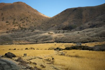 坊ガツルの風景。2人が草原の中をハイキングしている。阿蘇くじゅう国立公園