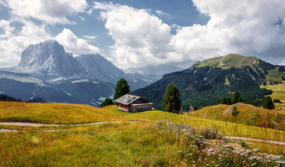 Fototapeta na wymiar Incredible alpine highlands in summer in Dolomites Alps. Scenic image of famous Sassolungo peak. Splendid landscape in Val Gardena on sunny day. Gorgeous summer View of Alpine valley. Amazing nature