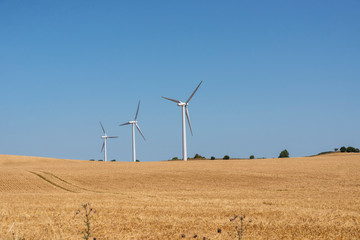 wind turbine in field