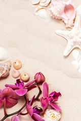 Fototapeta na wymiar Seashells and orchid on the sand, travel summer background