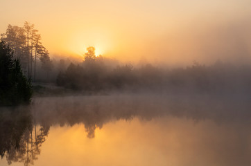 Naklejka na ściany i meble Misty morning on the lake.