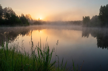 Fototapeta na wymiar Misty morning on the lake.