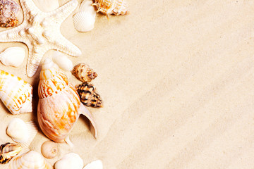 Fototapeta na wymiar Various seashells and stones on the sand, travel summer background