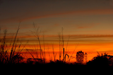 Obraz na płótnie Canvas Wide grassland and sunset in a romantic atmosphere