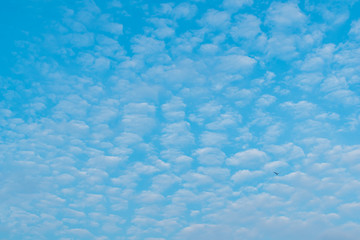 Beautiful clouds with blue sky background, Nature weather, White many cloud.