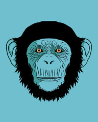 Blue monkey