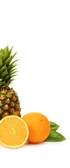 Pineapple and orange isolated on white background.