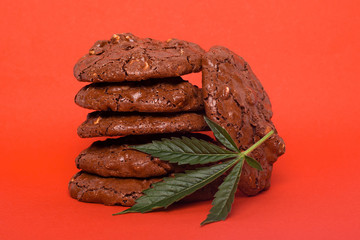 cannabis cookies on red background. hemp leaf and oatmeal cookies with peanuts