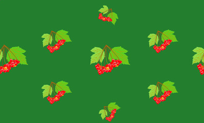Red currant plant with ripe berries pattern