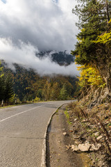 The road  passing through the mountains covered with forests in the mountainous part of Georgia in rainy weather