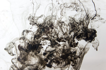 Black blurred ink dissolving moving dissipating in water on white background.