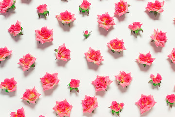 Pattern with pink roses buds on white background. Repeating arrangement with floral elements.