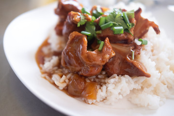 Stewed pork on rice