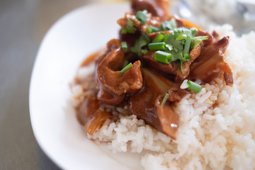 Stewed pork on rice