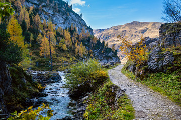 Fototapeta na wymiar Autumn alpine stream view from mountain hiking path to Tappenkarsee, Kleinarl, Land Salzburg, Austria.