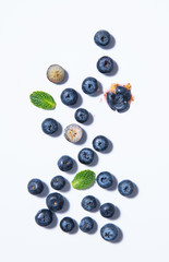 pattern of fresh  blueberries and mint leaves  is laid out on a white background
