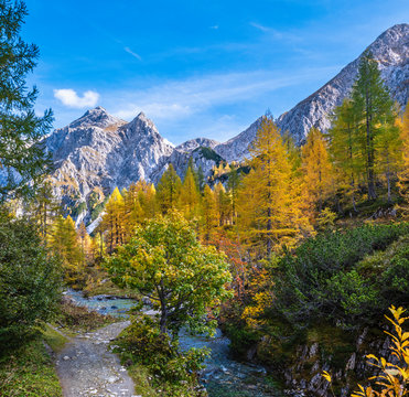Autumn alpine stream view from mountain hiking path to Tappenkarsee, Kleinarl, Land Salzburg, Austria.