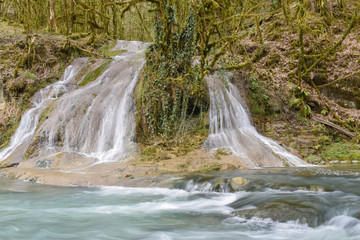 waterfall in forest