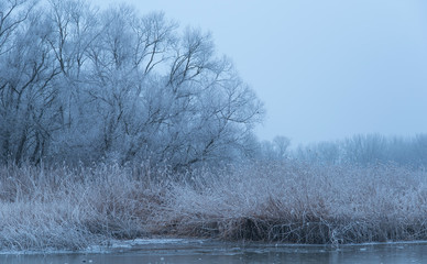 Frosty landscape a winters day