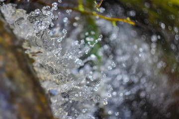 water drops on leaf