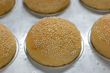 Big bun burger in box