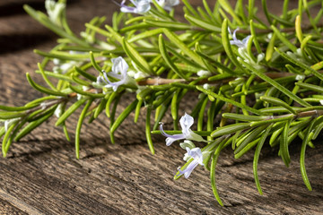 Fresh blooming rosemary twigs on a table