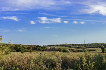 landscape with wheat field and blue sky