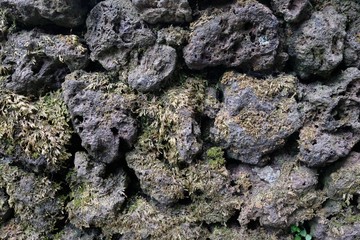 Stone with moss texture background