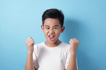 Happy success Asian boy shows winning gesture © airdone